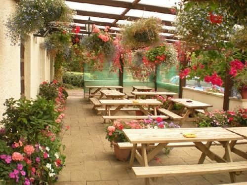 Hotel The Flying Fish Stables Ilminster Exterior foto